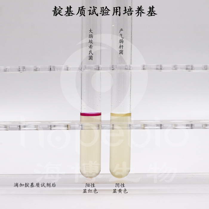 靛基质试验用培养基