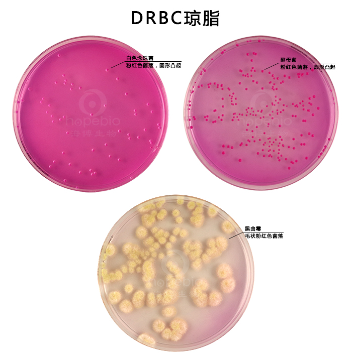 DRBC琼脂