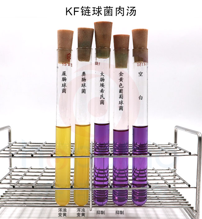 KF链球菌肉汤