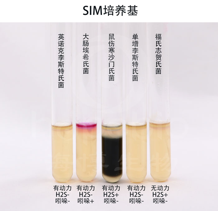 SIM培养基