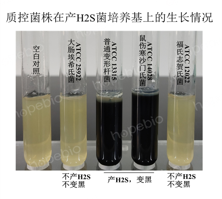 质控菌株在产H2S菌培养基上的生长情况