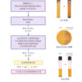 FDA与USDA食品致病菌检测流程中食品中金黄色葡萄球菌检测流程/