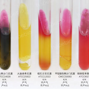 三糖铁斜面（TSI）/